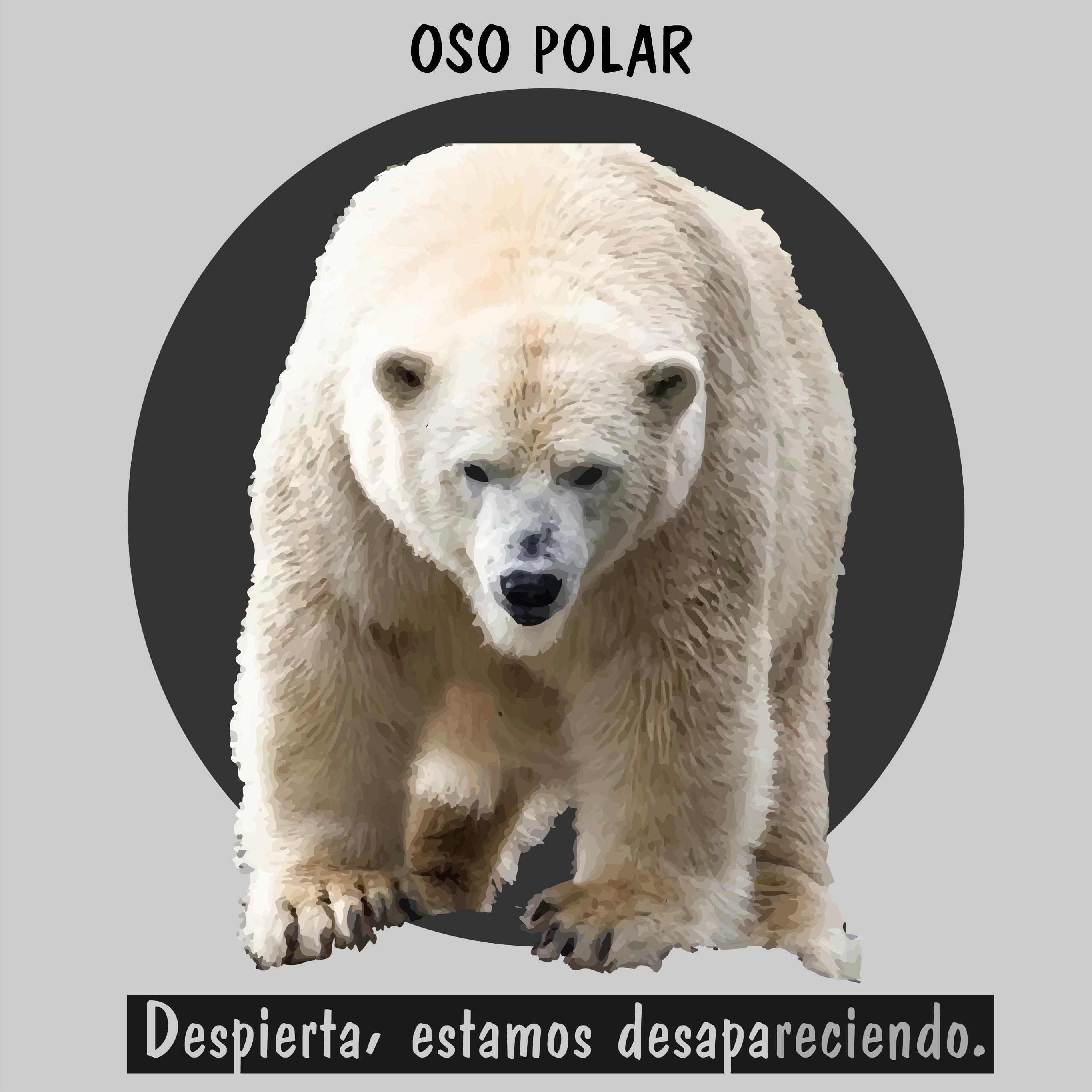 oso polar en extinción