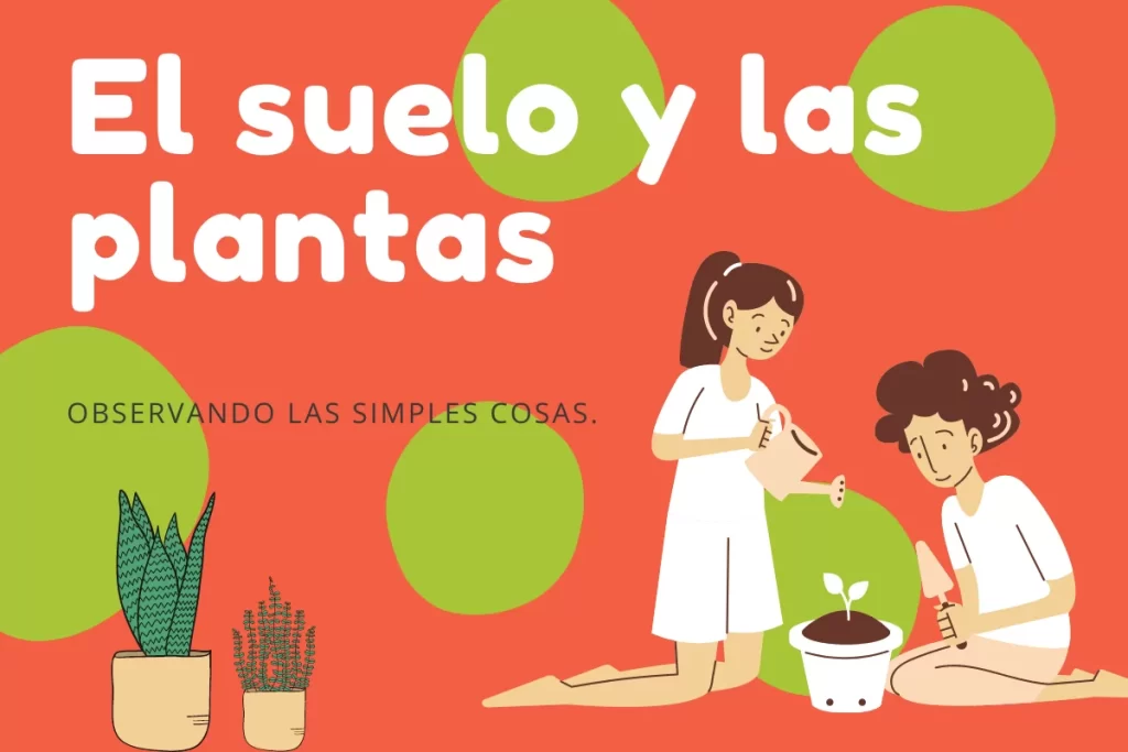 El cuidado de las plantas; para principiantes