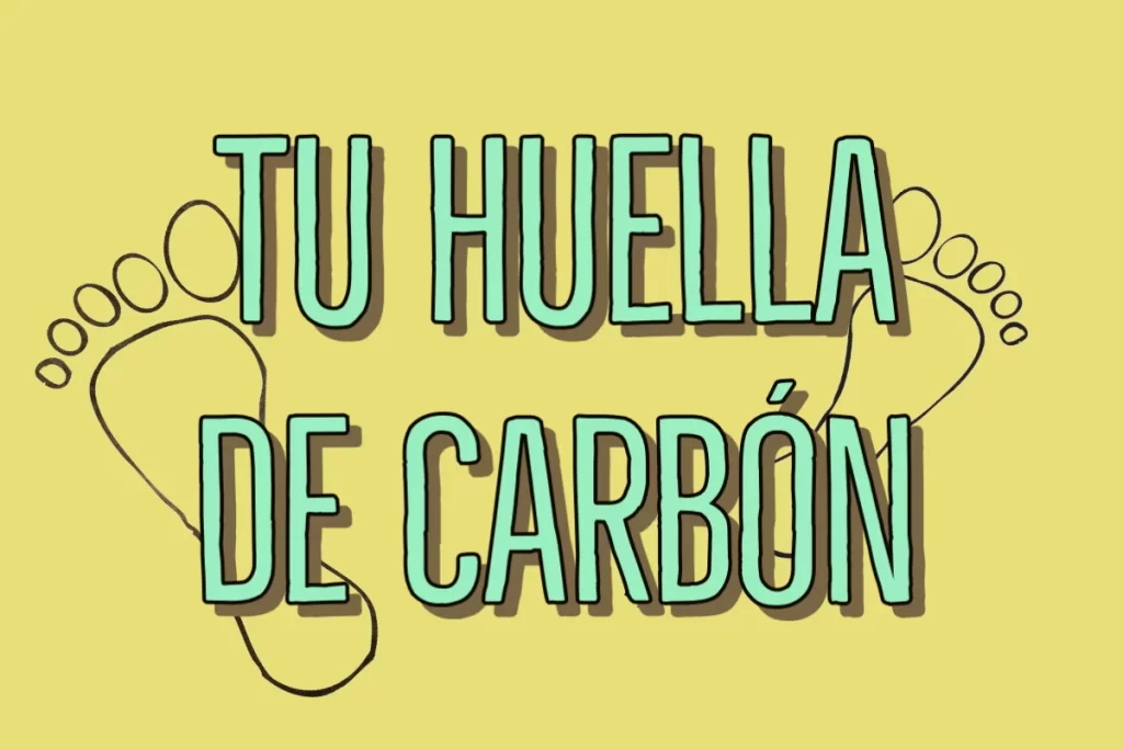 ¿Cómo reducir la huella de carbono? Una medición
