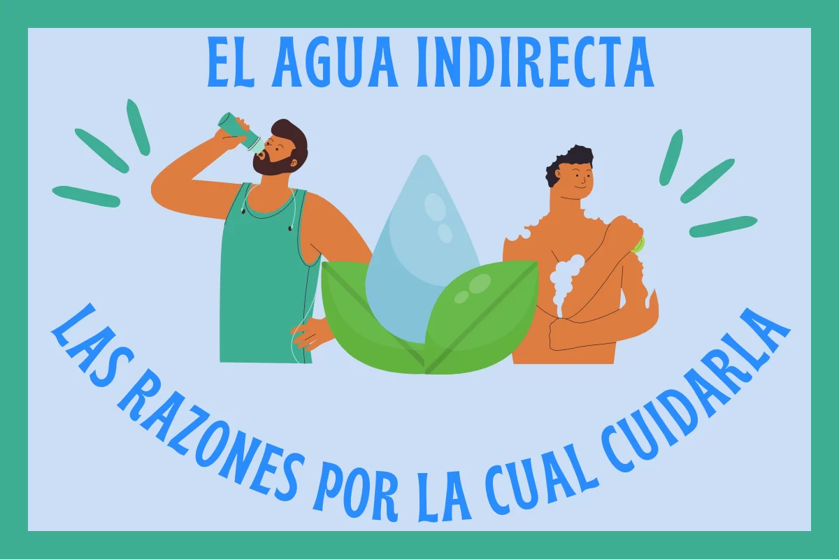 El agua indirecta. El cuidado del agua.