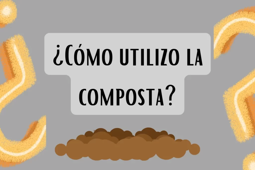 Cómo usar la composta: Guía completa para macetas y huerto
