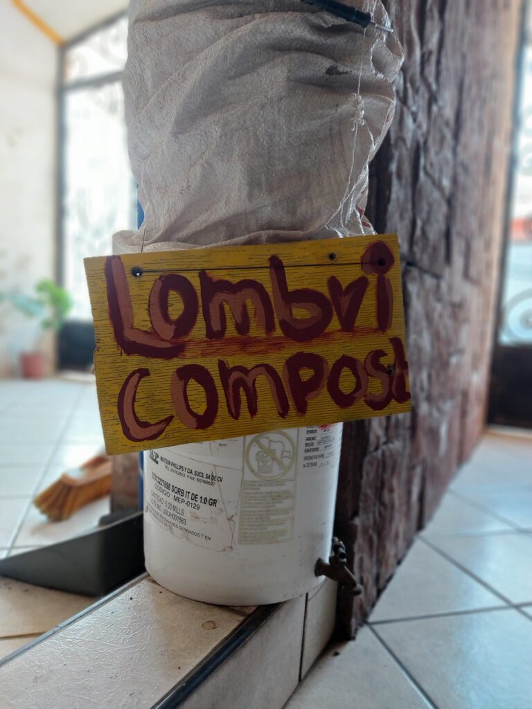 lombricomposta en casa