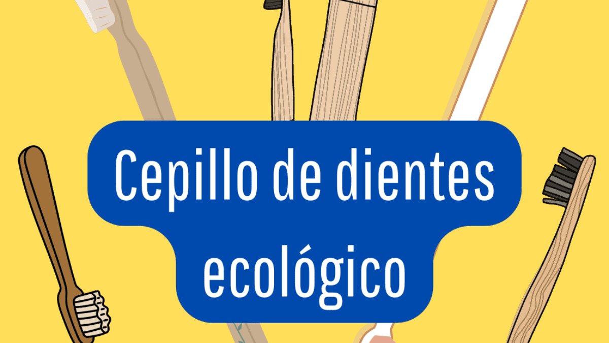 Cepillo de dientes ecológicos | pequeños cambios