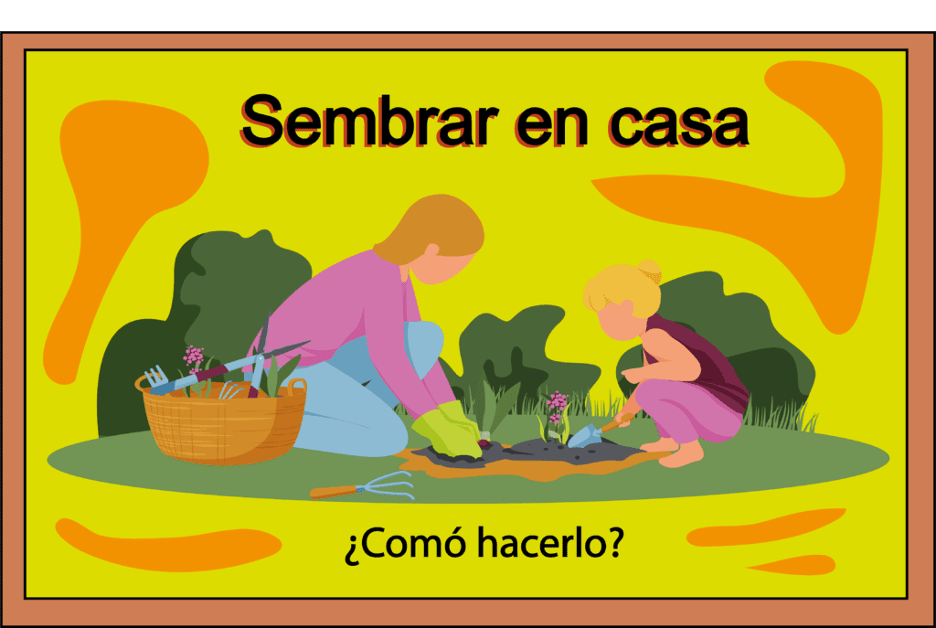 ¿Comó sembrar en casa? | Descubre como hacerlo correctamente