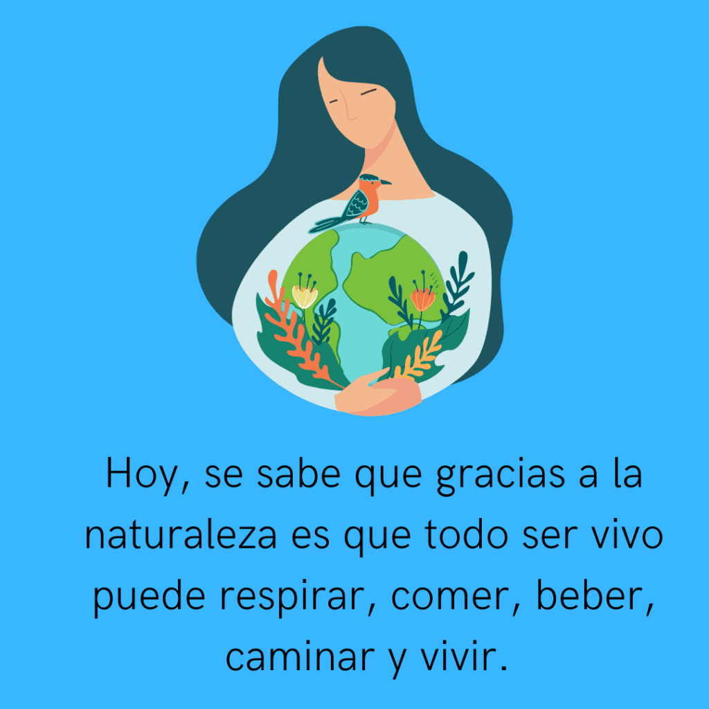 educacion ambiental 3