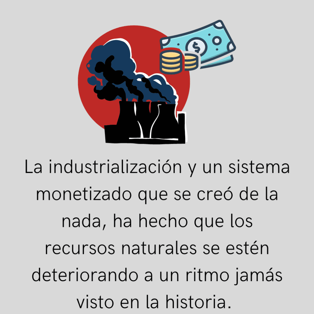 educacion ambiental 5