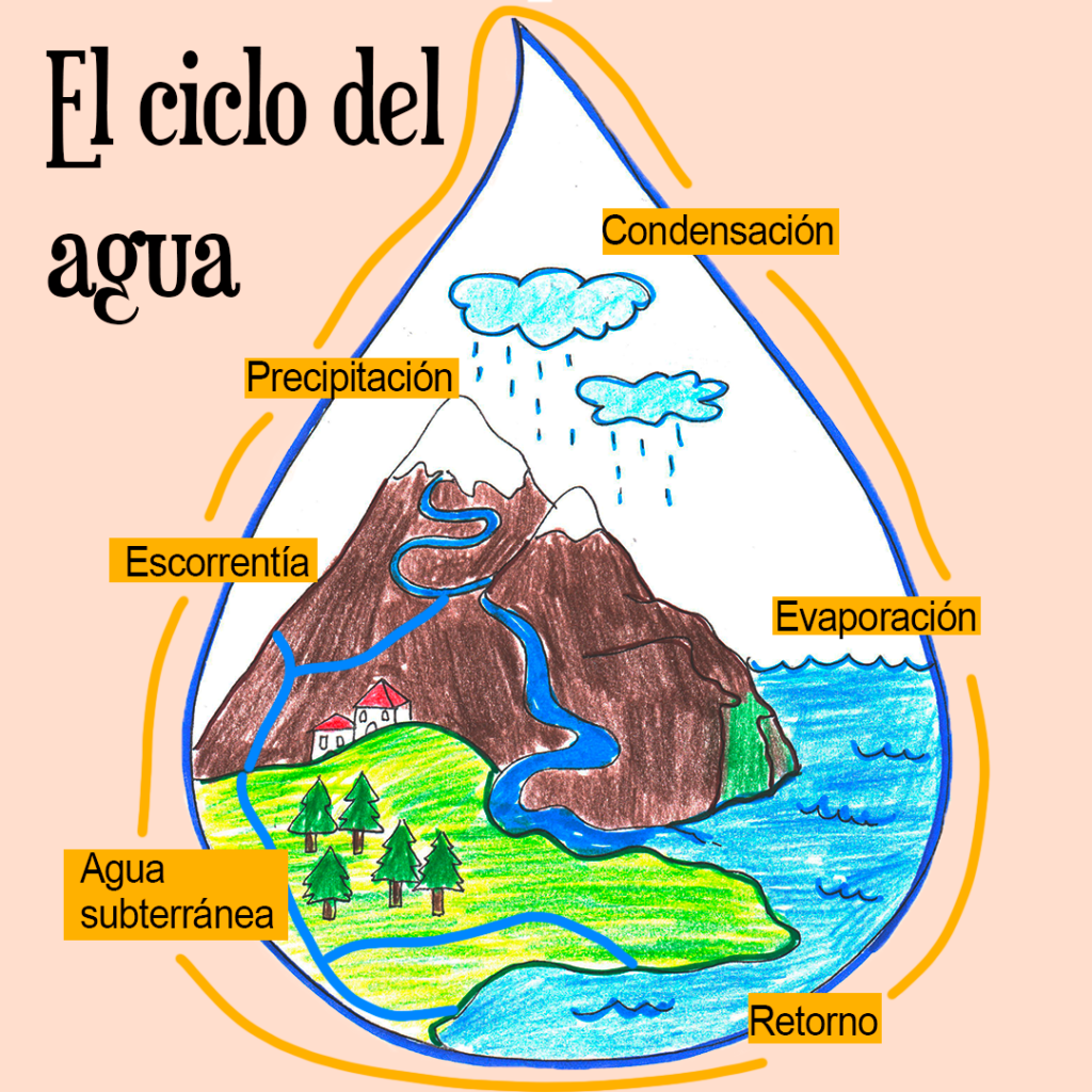el ciclo del agua