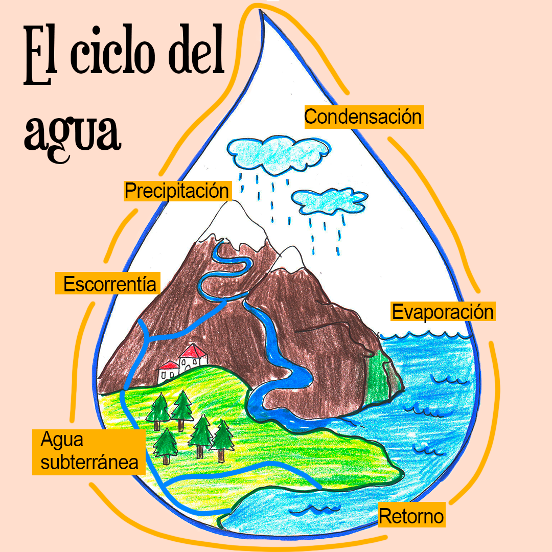 El Ciclo Del Agua Continuo | Conciencia Verde