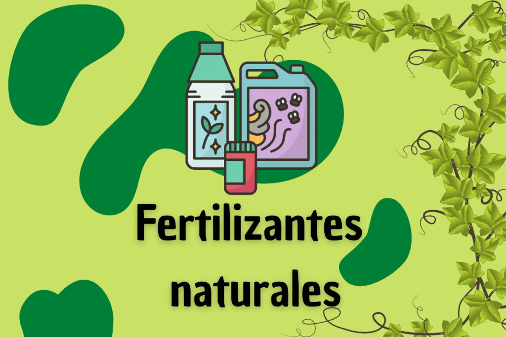 ¿Qué son los fertilizantes naturales? Algunos ejemplos