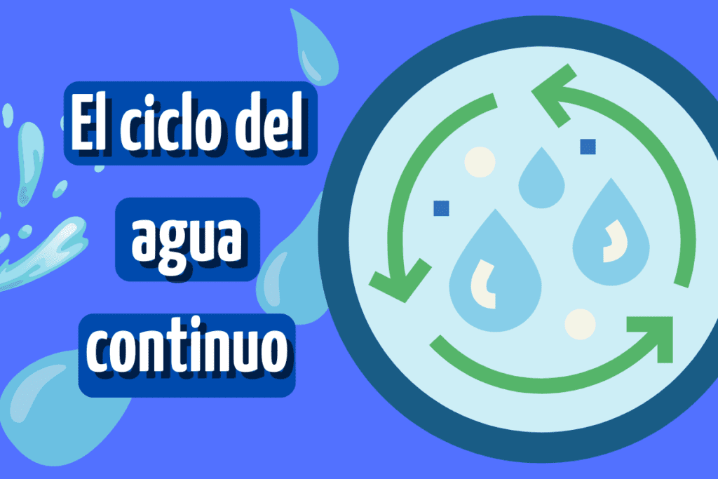 ¿Qué es el ciclo del agua? Fases y su importancia actual