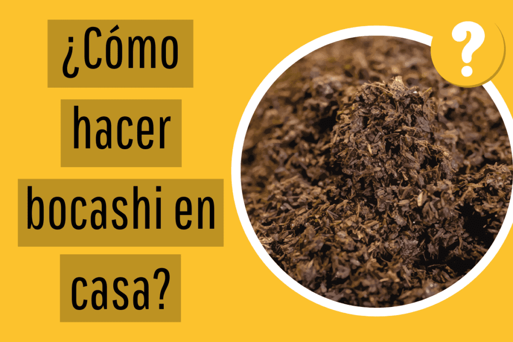 ¿Cómo hacer bocashi en casa? Guía completa para elaborarla