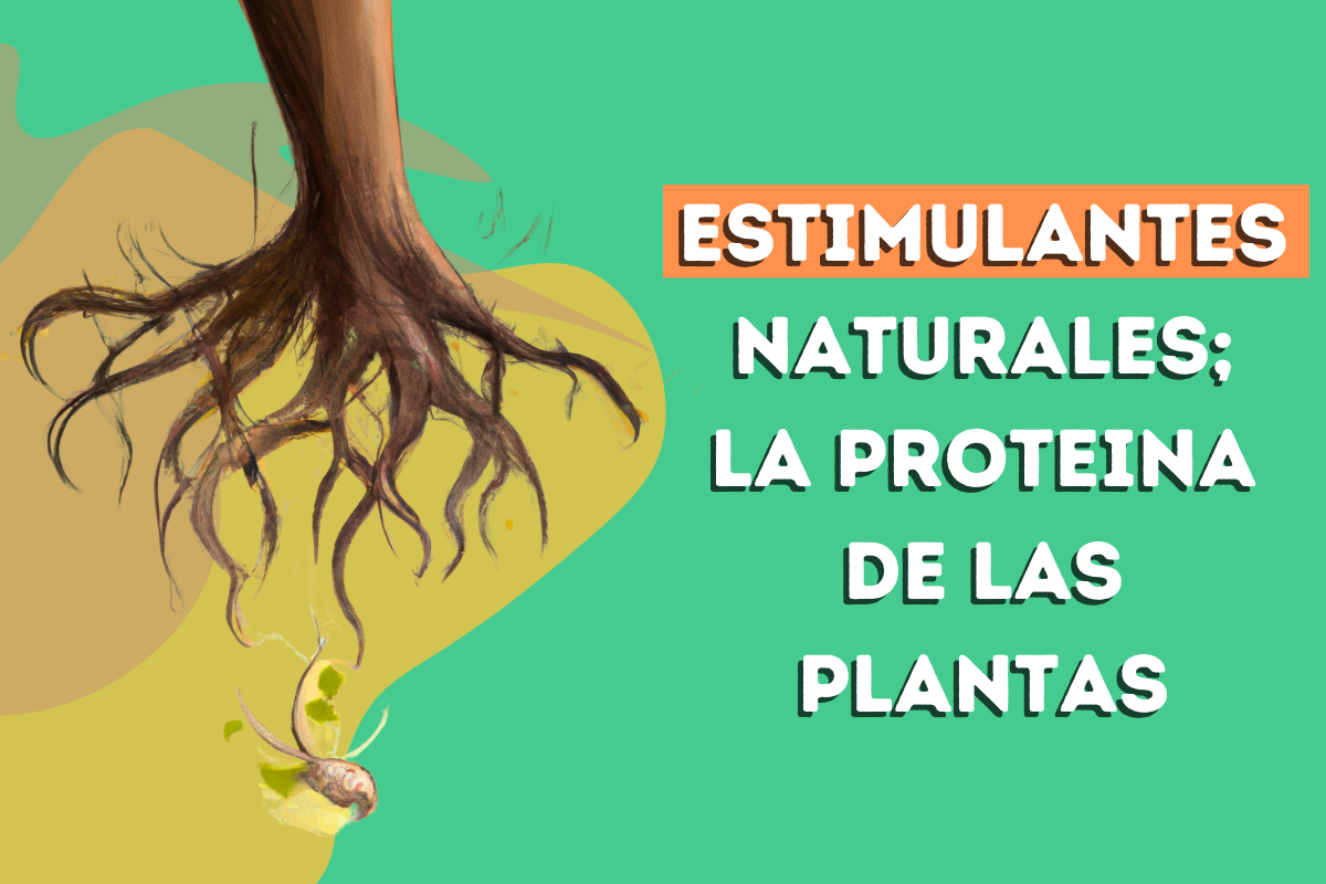 Estimulantes naturales; la proteína de tus plantas.