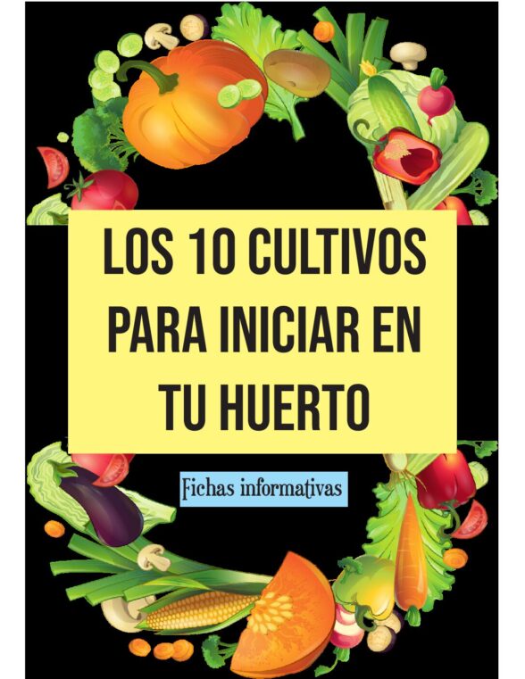 Portada - Fichas informaticas