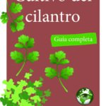 Cultivo de cilantro - Guía completa digital