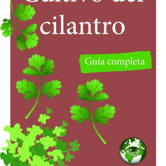 Portada - Cultivo del cilantro