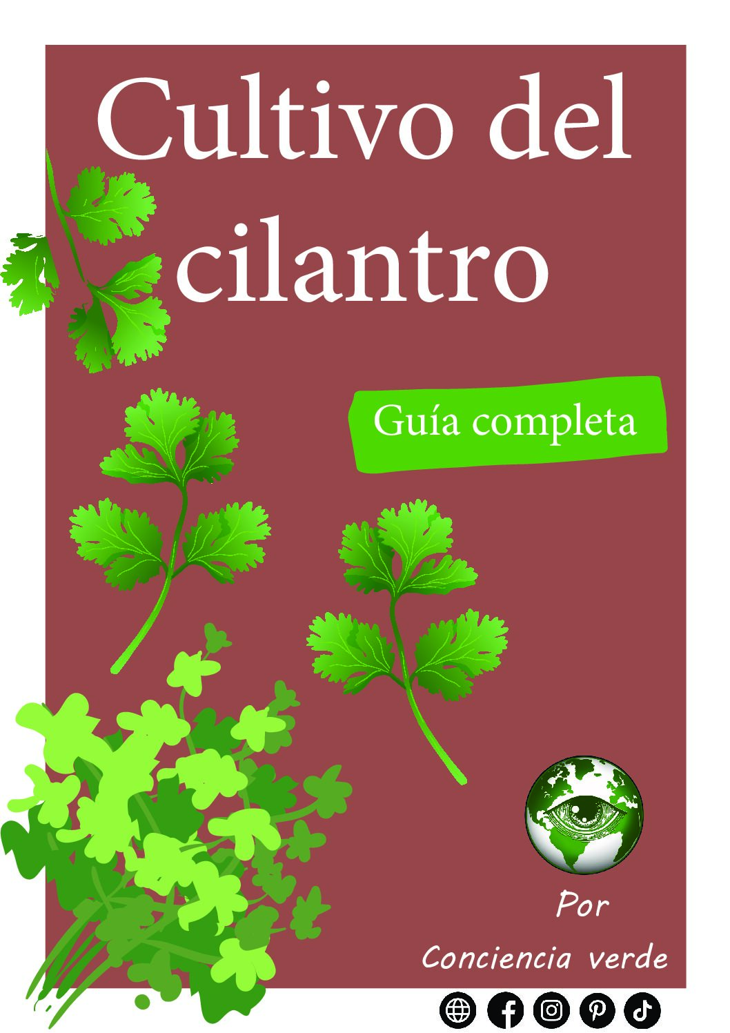 Cultivo de cilantro - Guía completa digital