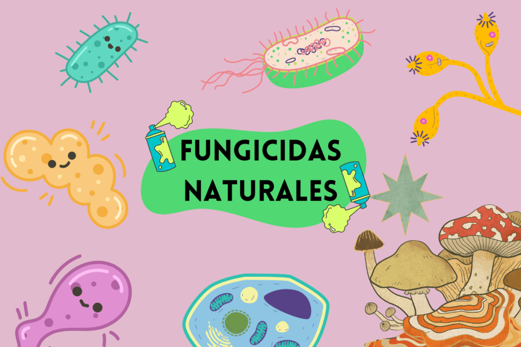 Fungicidas naturales; fungicida para plantas