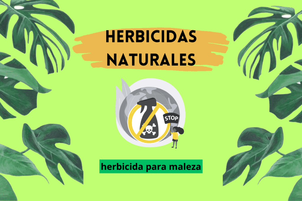 Herbicidas naturales; protege tus plantas de la maleza.