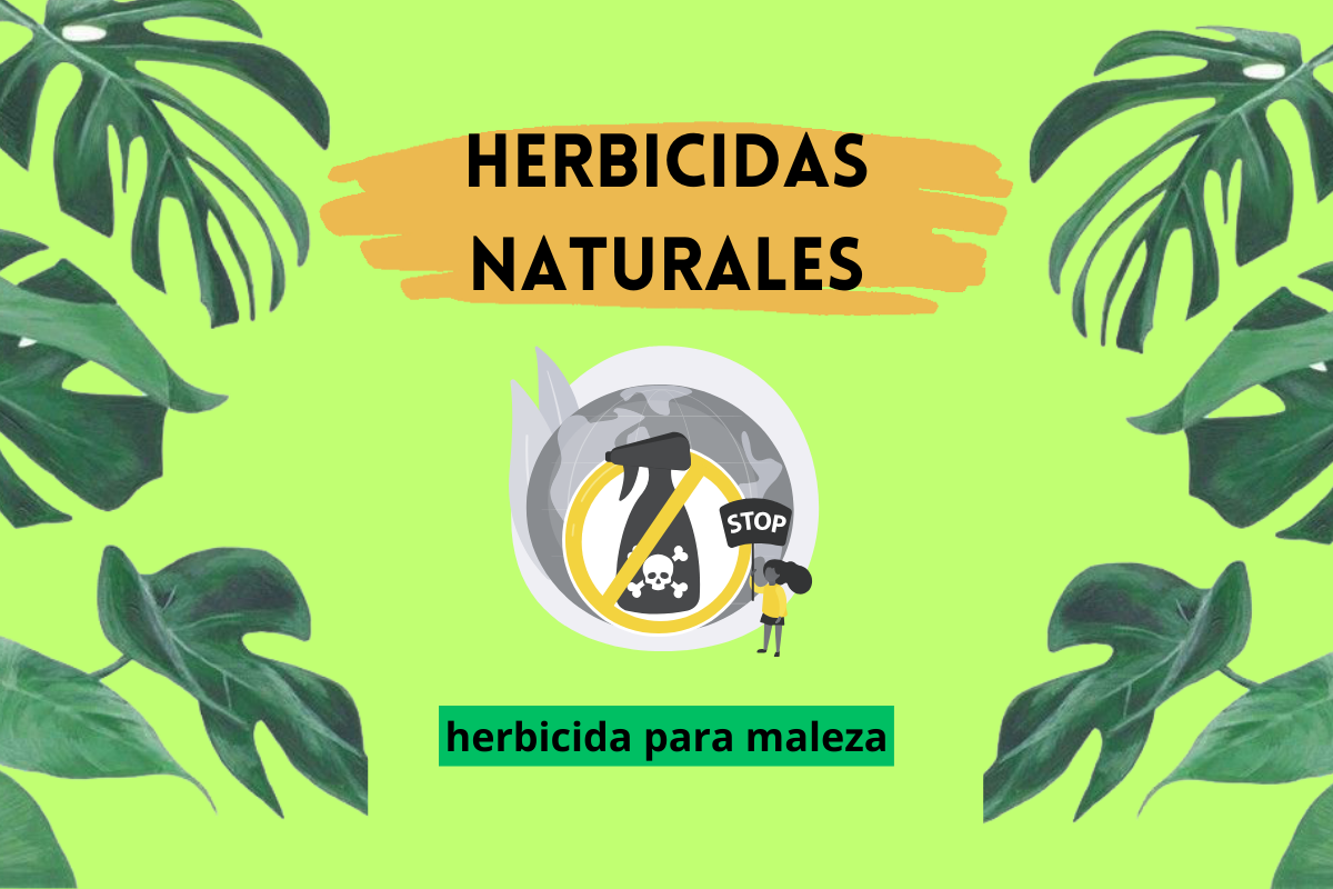 Herbicidas naturales; herbicidas para maleza.