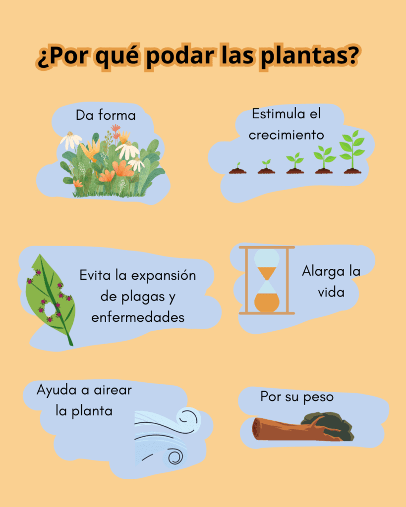 cómo podar las plantas