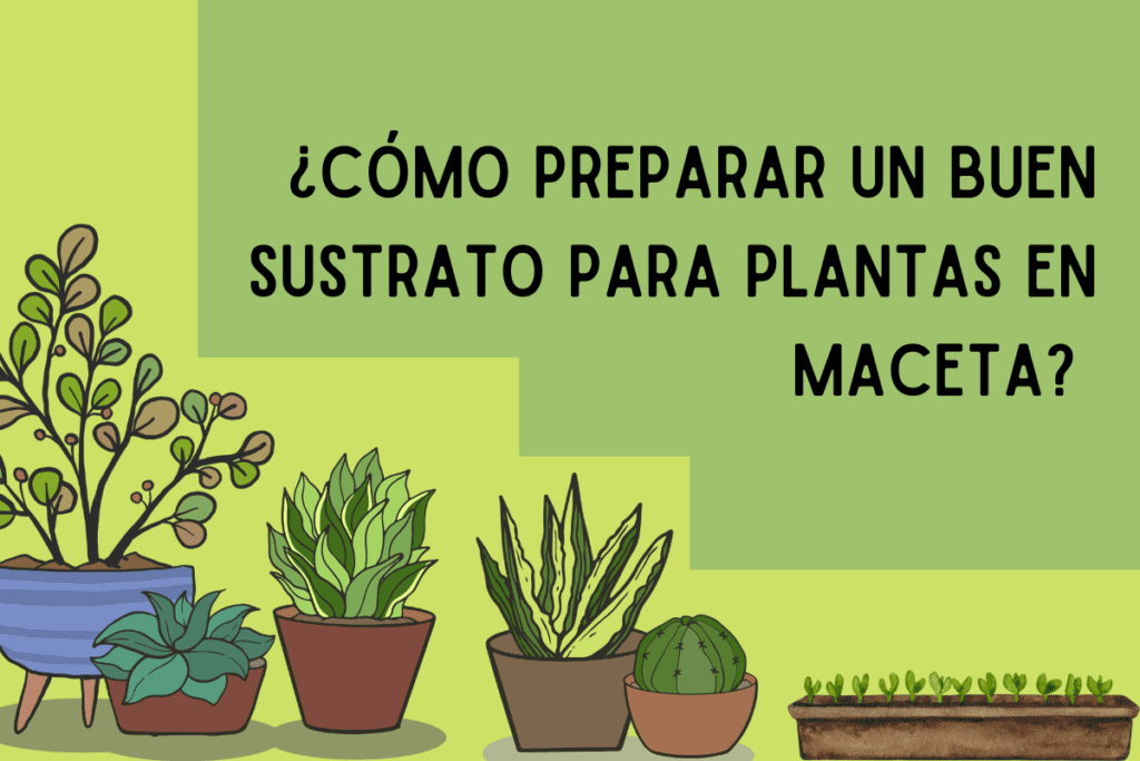 ¿Cómo preparar sustrato para plantas en maceta? Receta