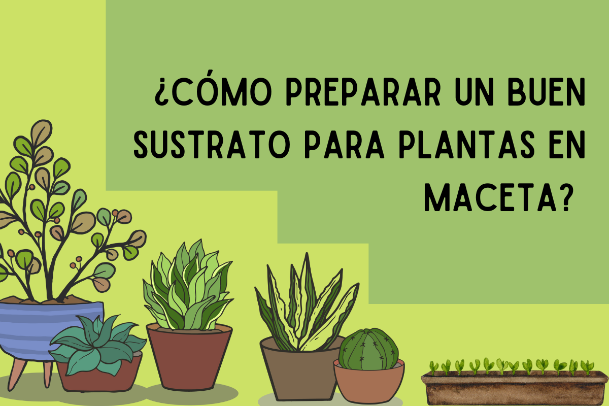 ¿Cómo preparar un buen sustrato para plantas en maceta?