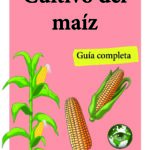 Cultivo de maíz (PDF) - Manual Completo para Cultivar