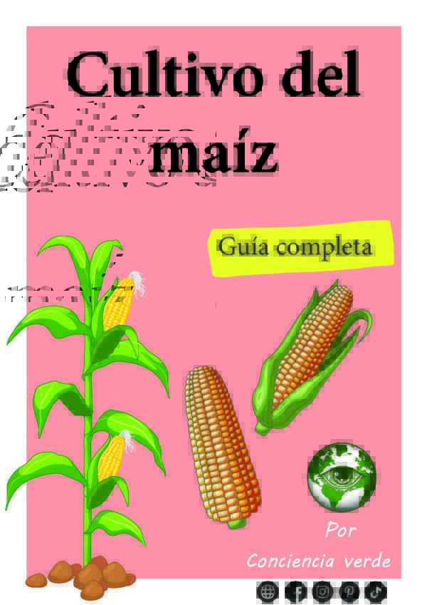 Cultivo del maíz - guía completa digital