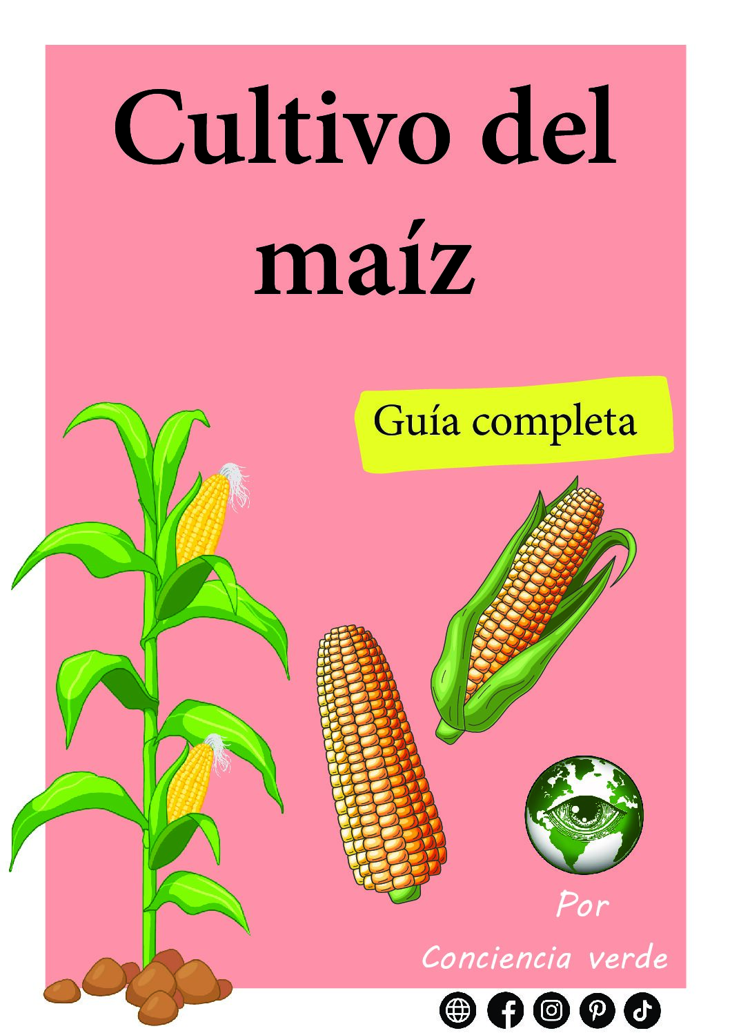 Cultivo del maíz - guía completa digital