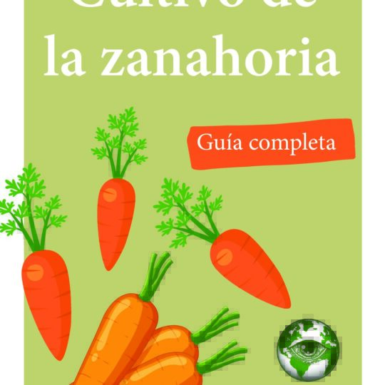 Portada- el cultivo de la zanahoria