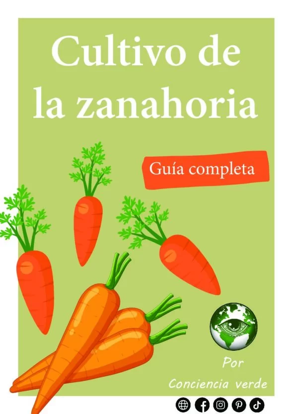 Portada- el cultivo de la zanahoria