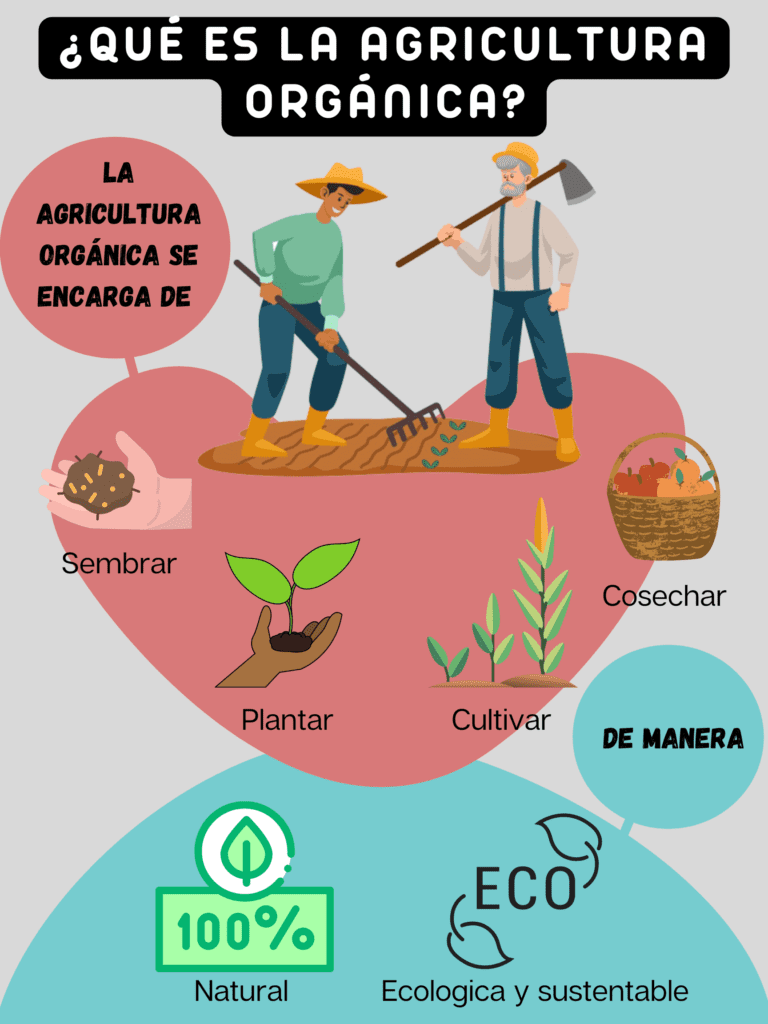 ¿Qué es la agricultura orgánica?