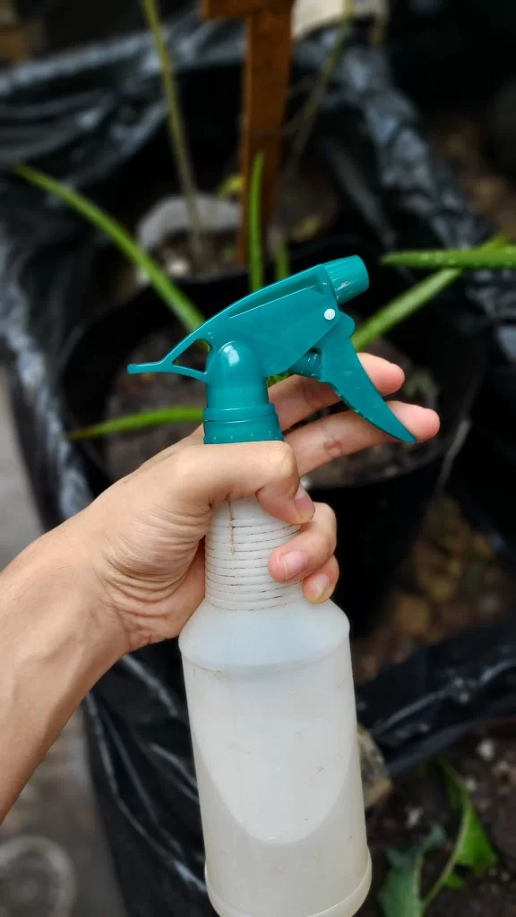 insecticidas huerto en casa