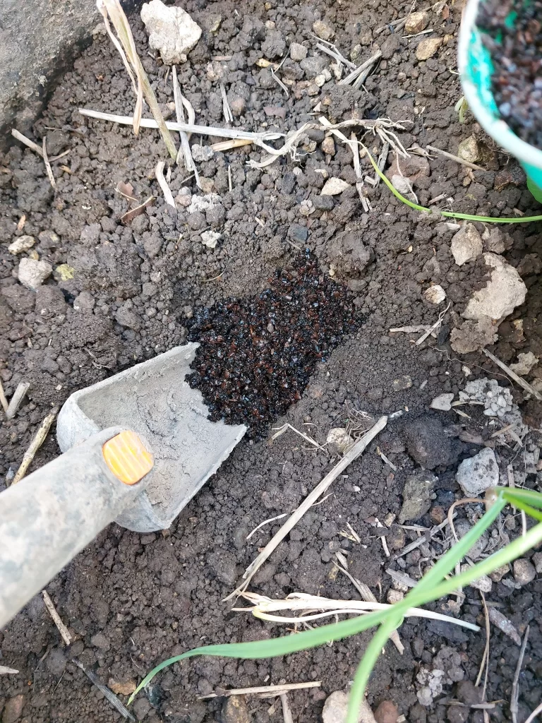 estimulantes huerto en casa