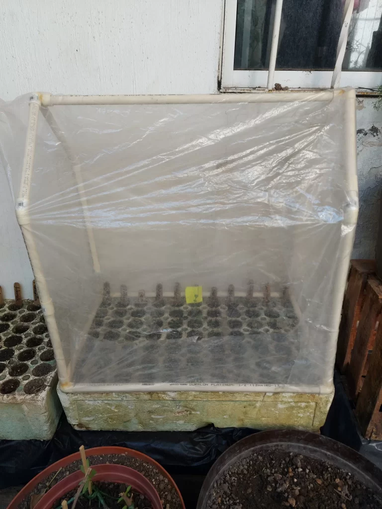 tecnicas huerto en casa