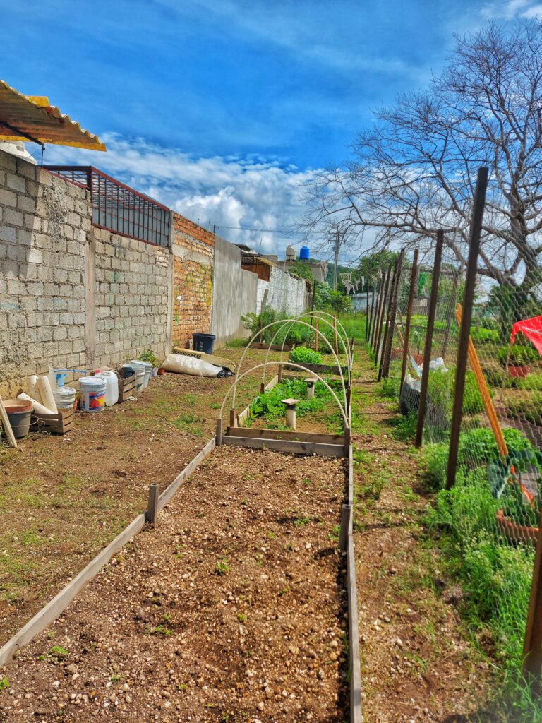 huerto - huertos comunitarios