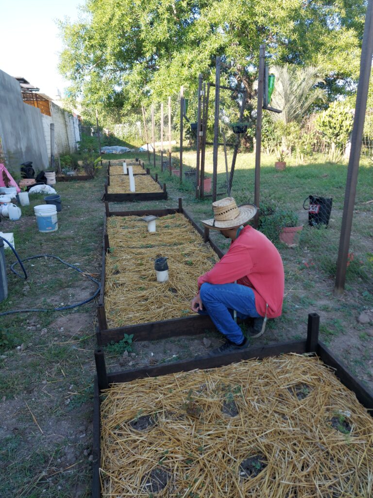 huerto comunitario - proyectos ambientales