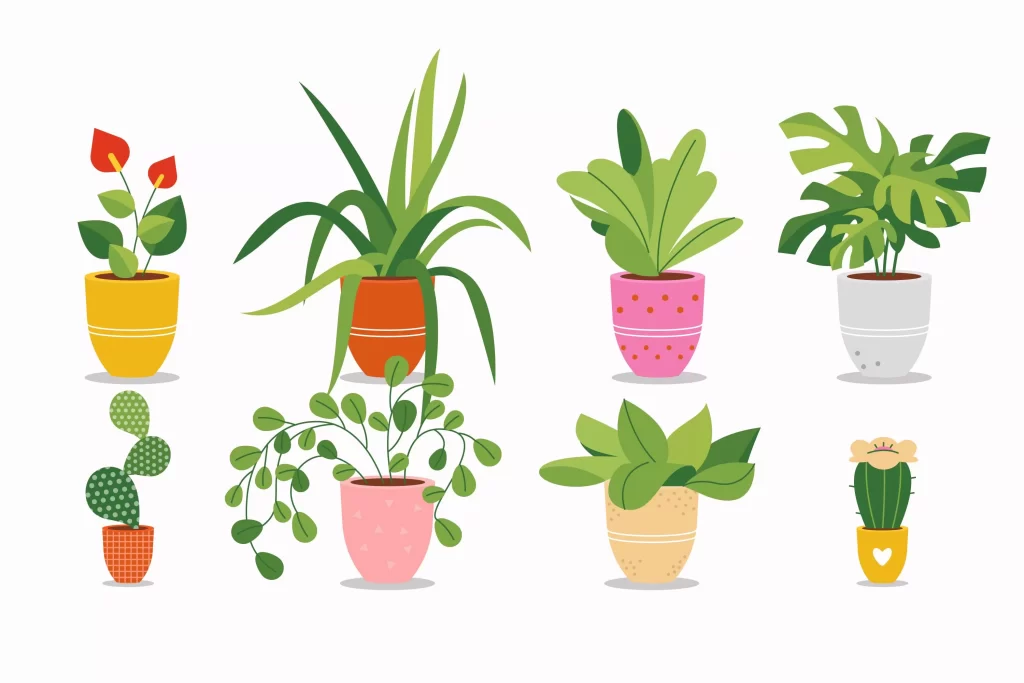 las plantas 