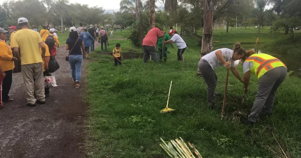 consumo responsable - reforestaciones
