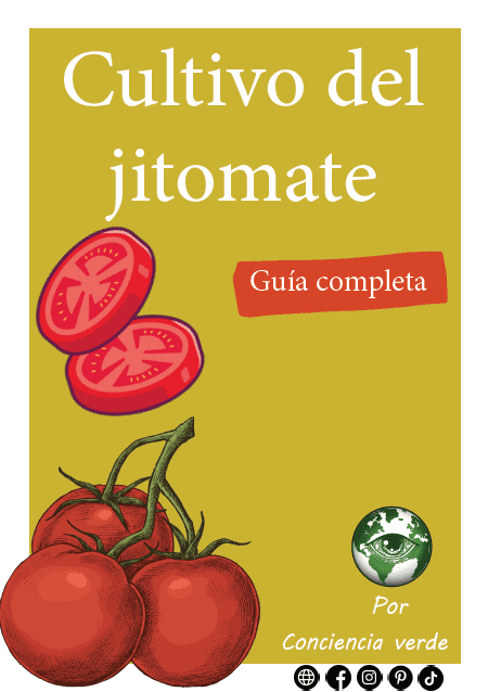 portada- cultivo de jitomate