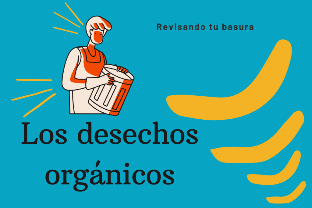¿Qué son los desechos orgánicos? Clasificación y tiempos