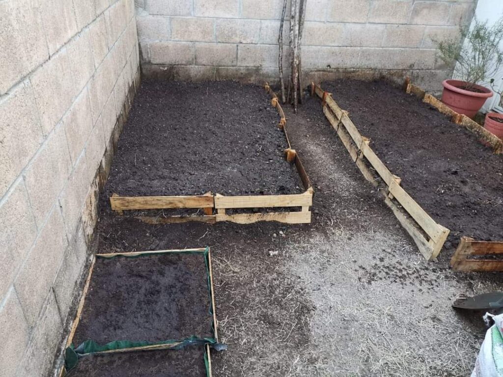 Ejemplo de sistema mixto para un huerto en casa combinando camas de cultivo en suelo y macetas para optimizar el espacio