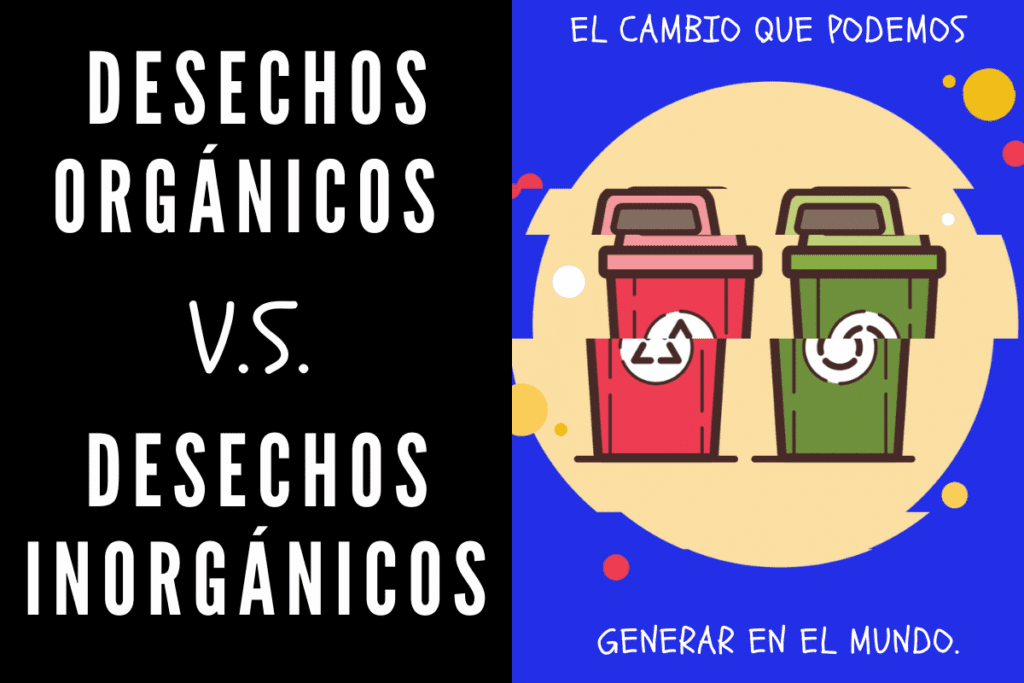 Diferencia entre residuos orgánicos e inorgánicos: Guía