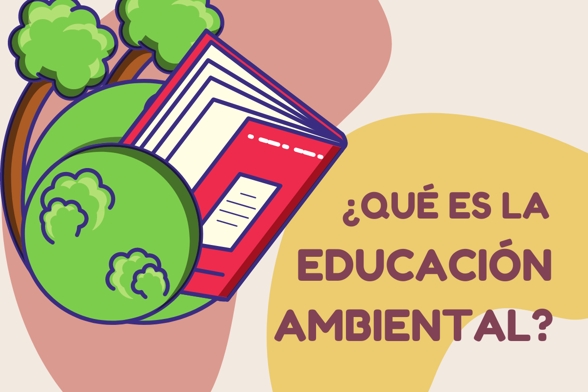 ¿Qué es la educación ambiental?