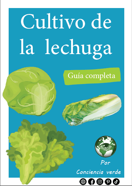 Cultivo de la lechuga portada de guia 