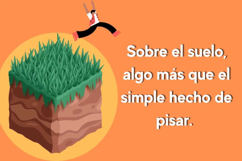 ¿Qué es el suelo? Tipos, funciones y su importancia vital