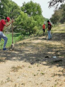 Ejemplo de lo que somos