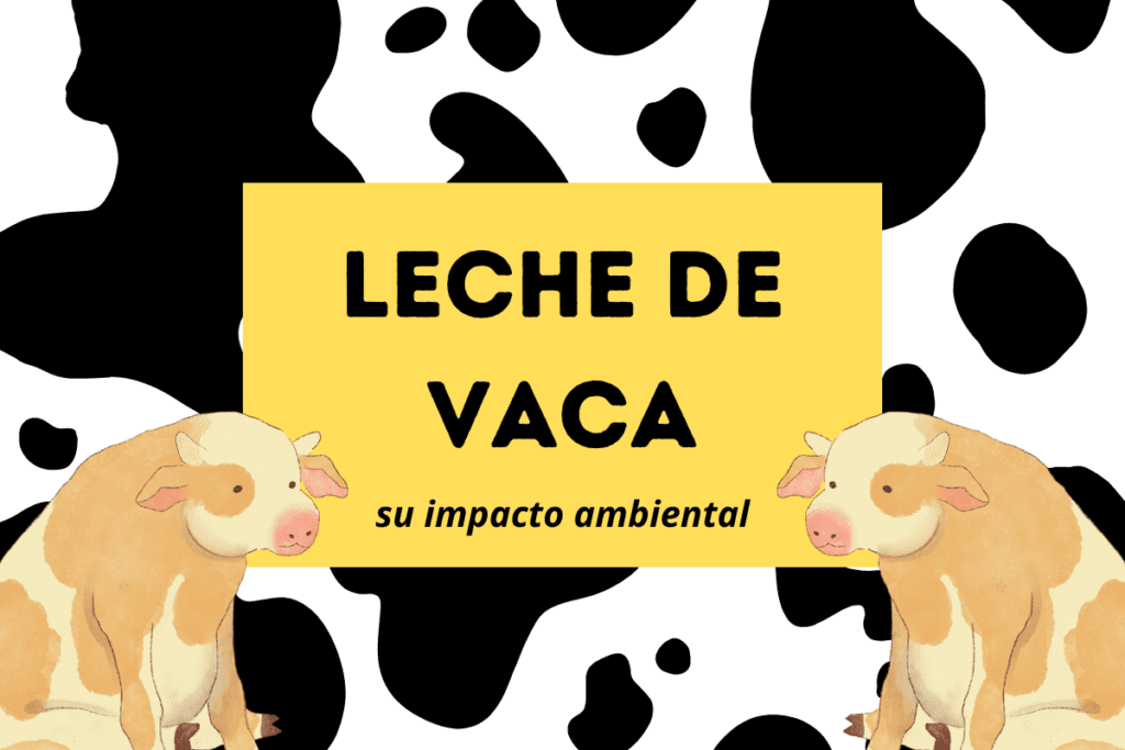 Leche de vaca, su impacto ambiental en el planeta