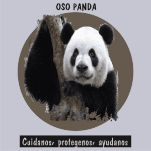 Oso panda gigante, ejemplo de esperanza entre los 20 animales en peligro de extinción