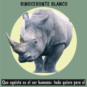 Rinoceronte blanco protegido contra el comercio ilegal de cuernos